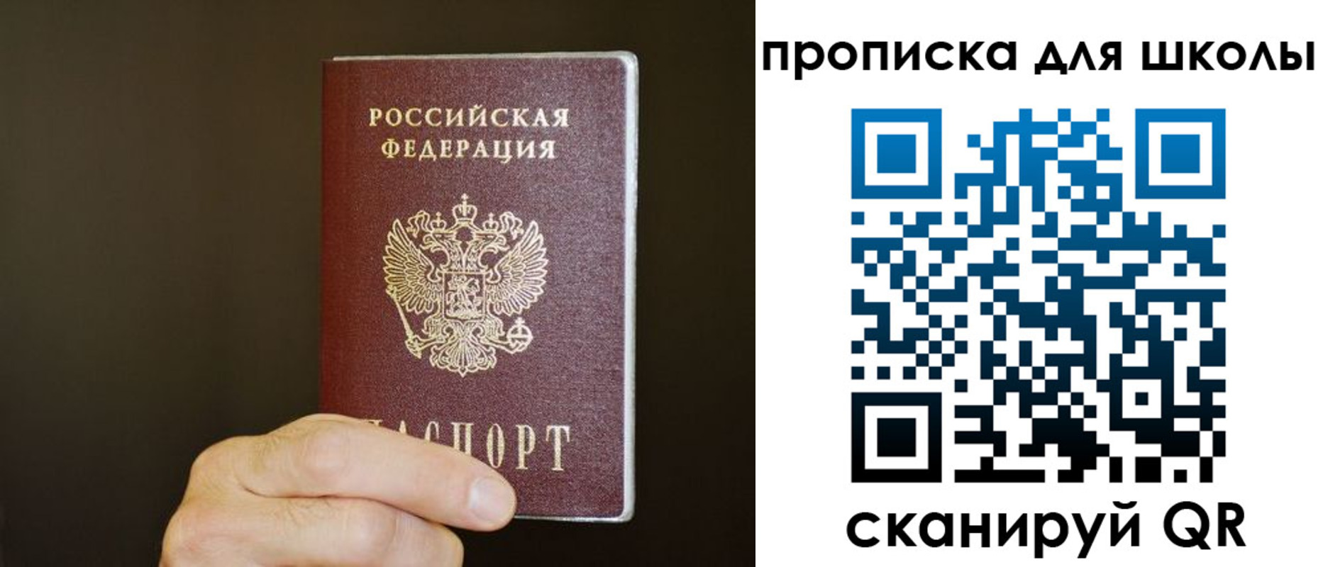 временная регистрация недорого в Чкаловске